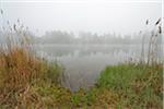 Lake in the Morning with Mist, Spring, Mondfeld, Mainfranken, Franconia, Baden Wurttemberg, Germany