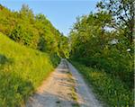 Path through Countryside in Spring, Grossheubach, Spessart, Franconia, Bavaria, Germany