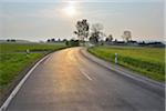 Winding Country Road with Sun, Reichlos, Grebenhain, Vogelsberg District, Hesse, Germany