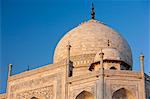 The Taj Mahal mausoleum eastern view detail, Uttar Pradesh, India