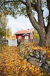 Wooden cottage at autumn, Ronneby, Blekinge, Sweden