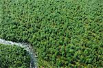 Aerial vie of river and forest, Kebnekaise, Lapland, Sweden