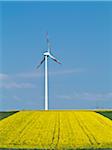 Wind turbine with canola field in foreground, Weser Hills, North Rhine-Westphalia, Germany