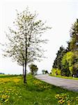 Scenic view of Highway through Weser Hills, North Rhine-Westphalia, Germany