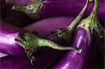 Five Fresh Organic Eggplants from the Garden