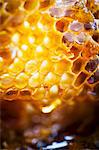 Close-up of honeycomb