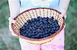 A girl holding a basket of blackberries