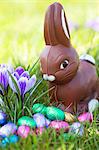 A chocolate Easter Bunny and Easter eggs wrapped in colourful foil in spring field