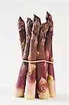 A bunch of purple asparagus against a white background