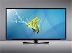 Black LCD tv screen and fish with water splash .  (with clipping work path)