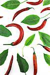 red hot chili pepper with leaves on a white background