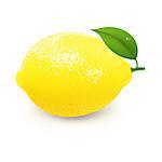 Yellow Lemon With Leaf, With Gradient Mesh,  Isolated On Grey Background, Vector Illustration