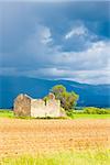 field with a ruin of house and tree, Plateau de Valensole, Provence, France