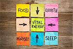 vital energy concept - food, exercise, mindset and sleep handwritten on colorful sticky notes