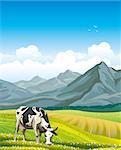 Cartoon cow and rural meadow with green grass on the mountain background. Natural landscape.