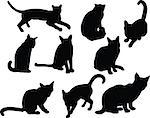 illustration of cats collection - vector