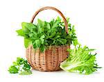 green herbs in braided basket isolated on white background