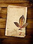 Old cards and dry leaf on wooden planks