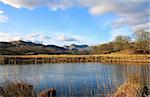 View towards the Langdale Pikes from the River Brathay.