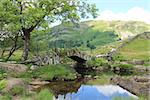 View towards Slaters Bridge from Little Langdale Cumbria.