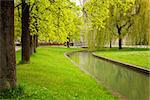 Munich's park with river at spring