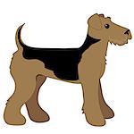 A cartoon illustration of an Airedale Terrier