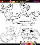Coloring Book or Page Cartoon Illustration of Black and White Wild Animals Characters for Children