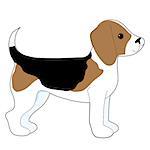 A cartoon drawing of a cute little Beagle puppy