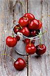 Tin Bucket with Red Sweet Cherries isolated on Rustic Wooden background