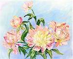 Peonies, oil painting on canvas