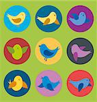 Vector flat card with birds of different color