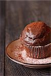 Delicious chocolate muffin with cocoa powder close-up.