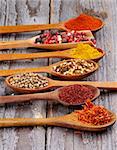 Wooden Spoons with Saffron, Sumac, Coriander, Dried Chili, Curry Powder, Paprika and Mixed Pepper In a Row on Rustic Wooden background