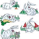 Funny gray rabbits. Set of vector illustrations.