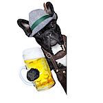 bavarian german dog  with beer mug besides a white blank banner or placard