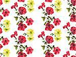 Seamless watercolor petunia pattern. Pink and yellow flowers
