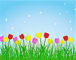 Summer meadow background with tulips. EPS 10 vector illustration without transparency.