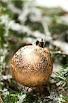 Gold Christmas ornament ball on pine leaves close up