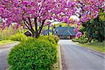 Colorful view - old cottage in Podravina region of Croatia