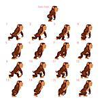 Animation of gorilla walking. Sixteen walking frames + 1 static pose. Vector cartoon isolated character/frames.