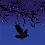 Dark crow bird flying over scary halloween night tree illustration background vector