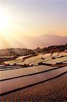 Yamanashi Prefecture, Japan