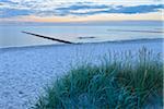 Dune and Groyne before Sunrise, Baltic Sea, Zingst, Darss, Fischland-Darss-Zingst, Mecklenburg-Western Pomerania, Germany