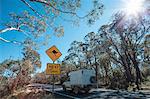 Kangaroo warning roadsign, New South Wales, Australia
