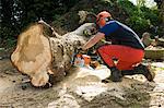 Young male tree surgeon kneeling whilst using chainsaw