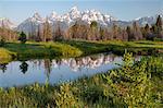 U.S.A., Wyoming, Grand Teton National Park, Schwabacher s Landing