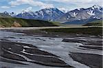 Denali National Park, Alaska, USA