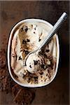 Overhead View of Ice Cream with Ice Cream Scoop on Metal Background, Studio Shot