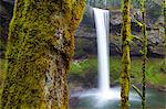 South Falls, Silver Falls State Park, Oregon, United States of America, North America