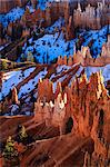 Hoodoos, pine trees and snow lit by strong late afternoon sun in winter, near Sunrise Point, Bryce Canyon National Park, Utah, United States of America, North America